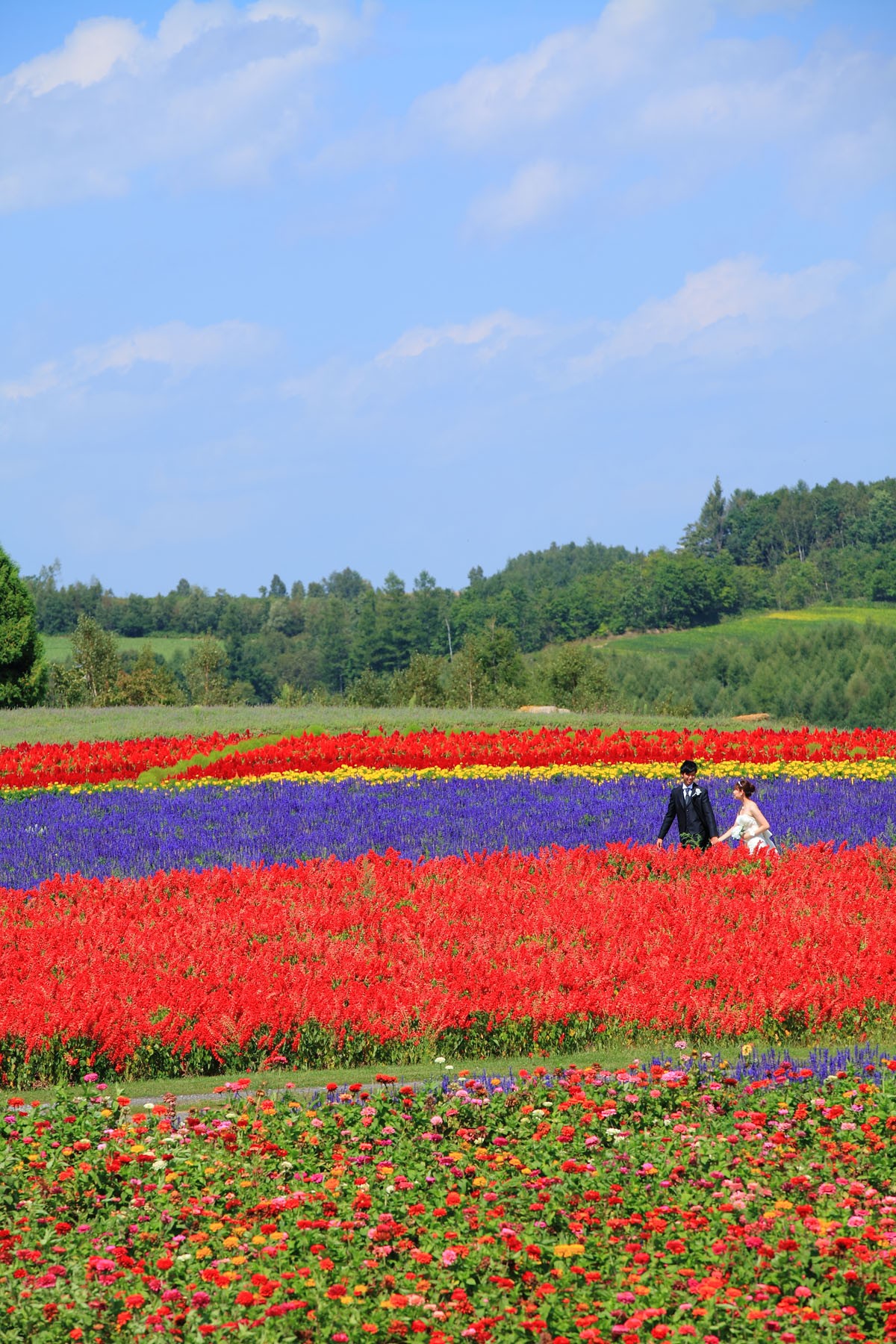 北海道